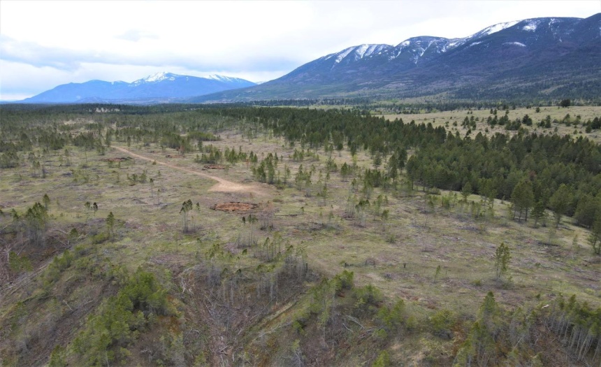 Lot 1 HARDIE CREEK ROAD, Columbia Lake, British Columbia V0B1L0, ,Vacant Land,For Sale,HARDIE CREEK ROAD,2465093