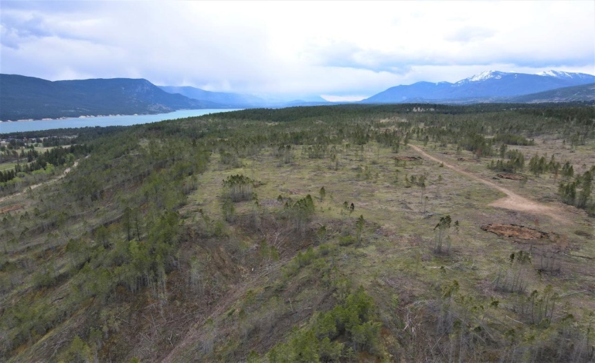 Lot 1 HARDIE CREEK ROAD, Columbia Lake, British Columbia V0B1L0, ,Vacant Land,For Sale,HARDIE CREEK ROAD,2465093