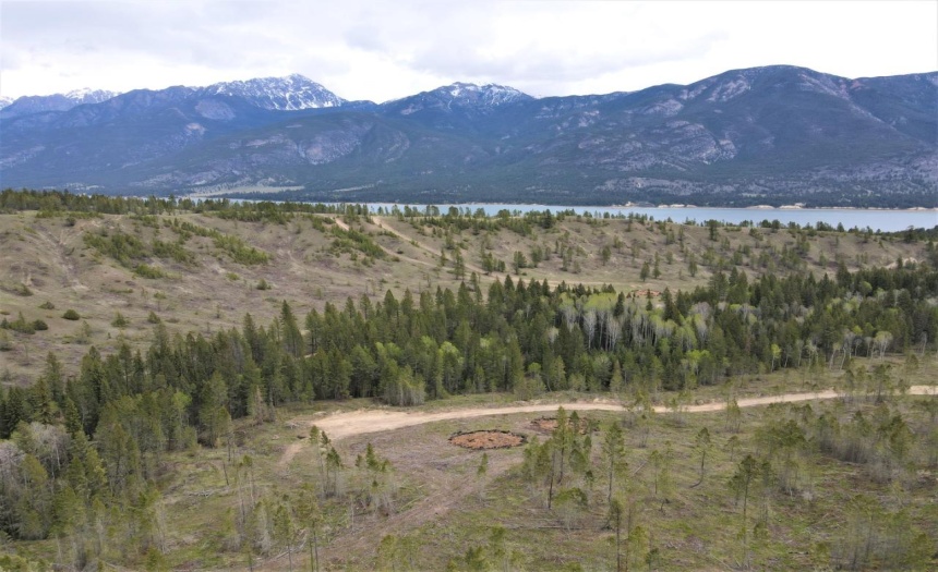 Lot 1 HARDIE CREEK ROAD, Columbia Lake, British Columbia V0B1L0, ,Vacant Land,For Sale,HARDIE CREEK ROAD,2465093