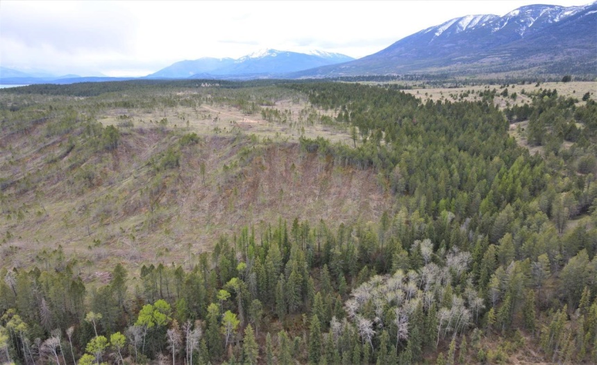 Lot 1 HARDIE CREEK ROAD, Columbia Lake, British Columbia V0B1L0, ,Vacant Land,For Sale,HARDIE CREEK ROAD,2465093