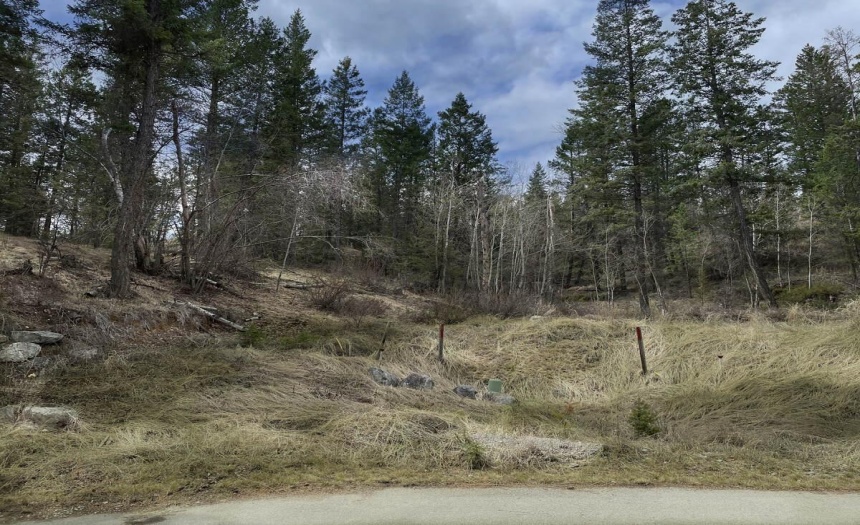 Lot 18 BELLA VISTA ESTATES, Columbia Lake, British Columbia V0B1L2, ,Vacant Land,For Sale,BELLA VISTA ESTATES,2458578