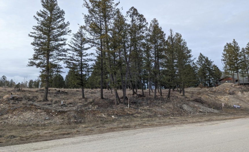 2480 CASTLESTONE DRIVE, Invermere, British Columbia V0A1K6, ,Vacant Land,For Sale,CASTLESTONE DRIVE,2467803